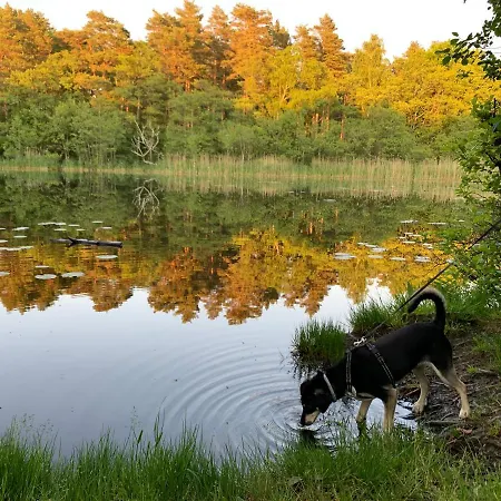 Chachatki 펜션 코팔리노