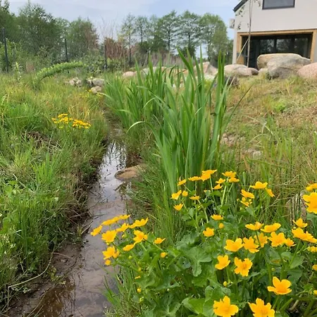 펜션 Chachatki 코팔리노